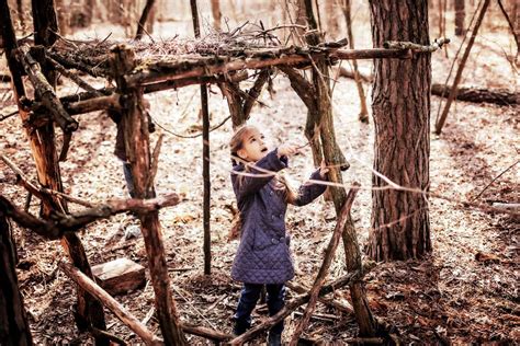 Old Fashioned Treehouses See 20 Fun Forts Built Up In The Branches