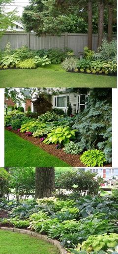 Landscaping Ideas For Shady Side Of The House