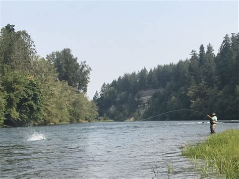 Cowlitz River Summer Steelhead | Water Time Outfitters