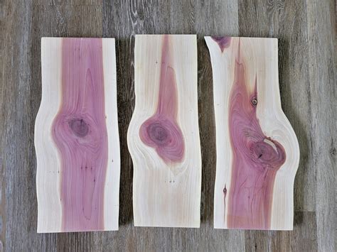 Set Of 3 Red Cedar Sign Blanks Planed And Sanded Live Edge Etsy