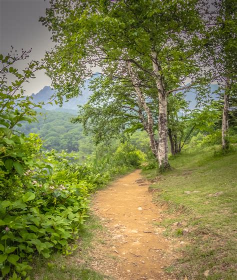 A bodhisattva is simply a person who has chosen to follow the buddha's path for the benefit of all beings. Bodhisattva Vows