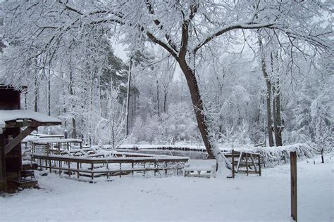 Snow Scene Winter Wonderland Scenes Pinterest