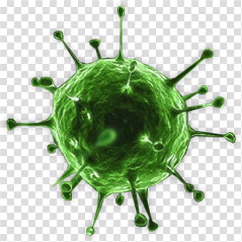 183,000+ vectors, stock photos & psd files. coronavirus png - Clip Art Library