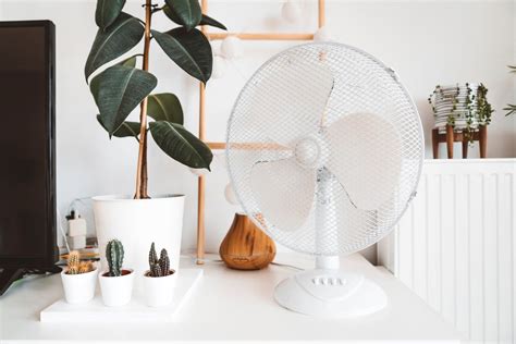 7 Types Of Fans To Keep Your Homes Air Cool And Clean — Bob Vila