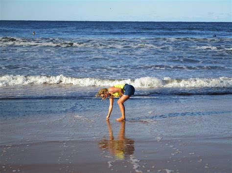 We did not find results for: happy beachclean | let's go to the beach