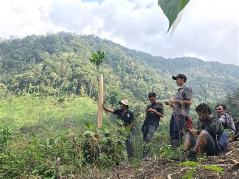 Hutan lindung ini berfungsi sebagai pengatur air, pencegah banjir dan erosi serta untuk memelihara kesuburan tanah. Bagaimana Usaha Masyarakat Sekitar Menjaga Dan ...