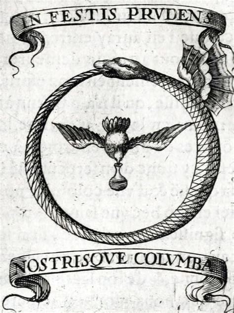 Ouroboros Symbol Meaning History And Design Occult Symbols