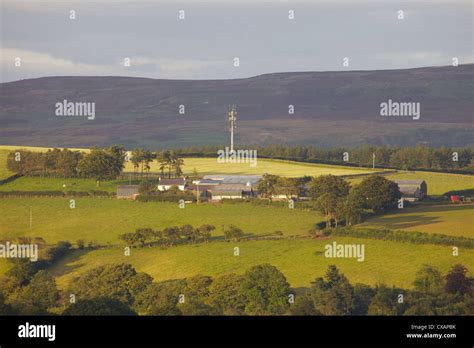 Harras Farm And Telephone Mast With Trees And Fields In Golden Light On