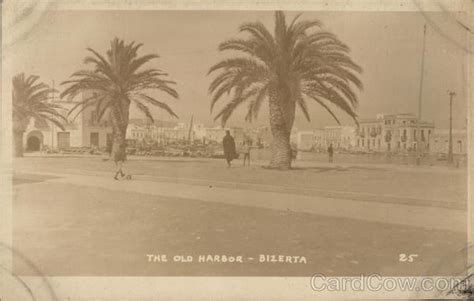 The Old Harbor Bizerte Tunisia Africa Postcard
