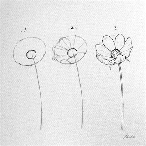 Artista Revela Cómo Dibujar Una Flor En 3 Sencillos Pasos