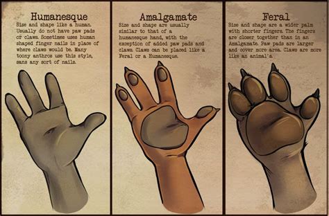 Anthro Hands By Coffinberry On Deviantart Furry Art Hand Drawing