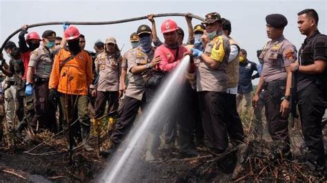 Satu Perusahaan Pembakar Ratusan Hektare Lahan Di Pelalawan Jadi