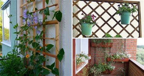 Ideas For Starting A Balcony Garden