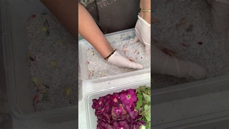 Then make sure to have your flowers stem cut short and place it upright into the silica gel make sure it stands up right like that. How to dry fresh flowers using silica gel? - YouTube