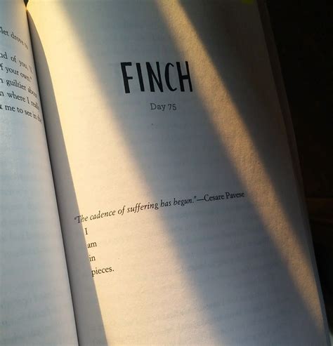 All The Bright Places Quote Finch Photo Credit Me In 2020 All