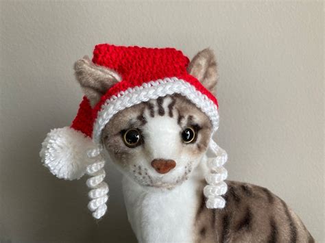 15 Creative Crochet Cat Hat Patterns For Felines Cute Little World