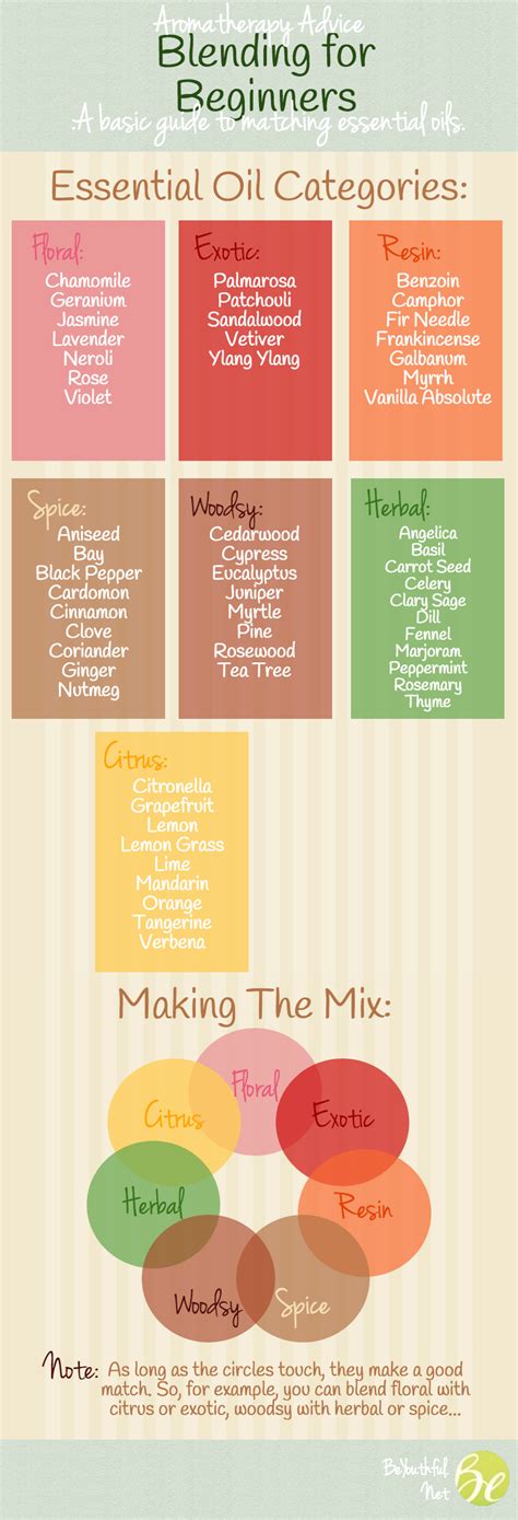 A Beginners Guide To Essential Oils And Blending Infographic