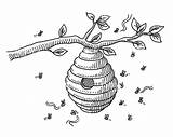 Beehive Drawing Bee Coloring Drawings Bees Branch Tree Hive Vector Sketch Illustration Flying Clip Illustrations Istockphoto Line Drawn Hand Pencil sketch template