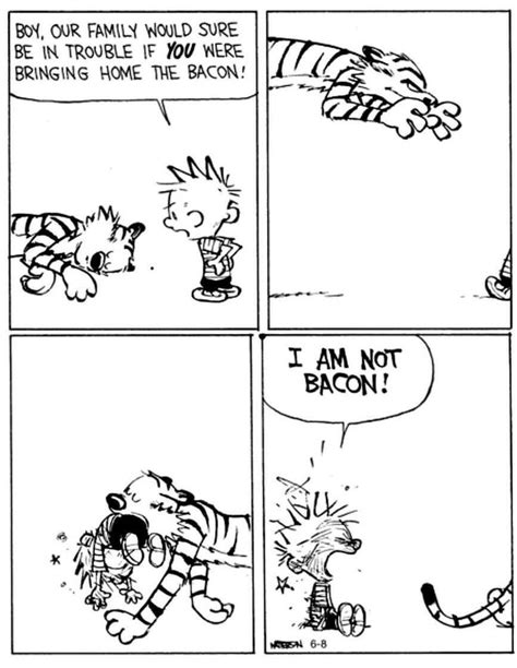 Pin By Dusty Lane On Calvin And Hobbes Calvin And Hobbes Calvin And