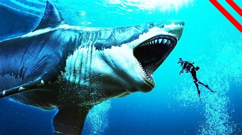Most Dangerous Ocean Creatures Youtube