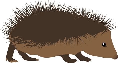 Hedgehog Clipart Png Clip Art Library