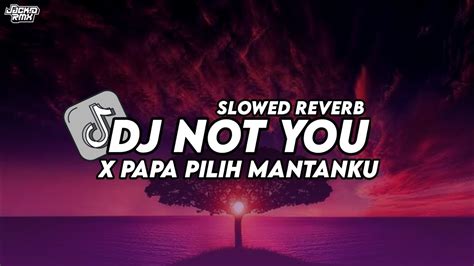 Dj Not You X Papa Pilih Mantanku Slowed Reverb Kane Viral Tiktok