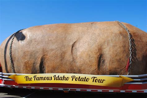 The Carpetbagger The Worlds Largest Potato