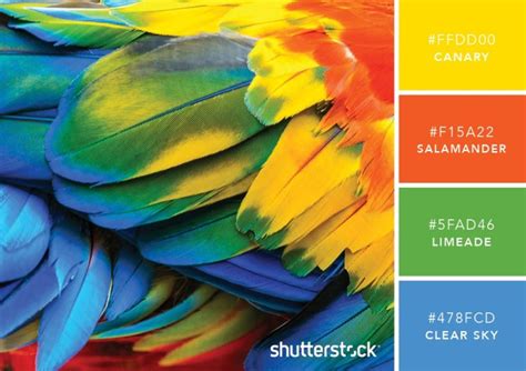 101 Color Combinations To Inspire Your Next Design