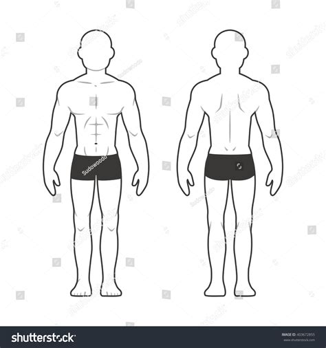 Human body outlines are available for pdf format. Medical Male Body Chart Muscular Man Stock Illustration ...