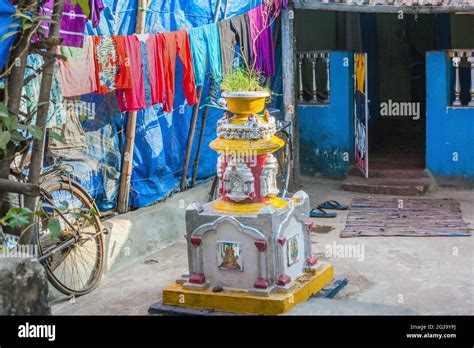 Tulsi Vrindavan Hi Res Stock Photography And Images Alamy