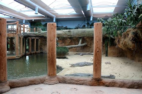 This is also bad news for the festival organization b2s. Afrikanske krokodiller - ZooCentral.dk