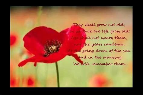 A Poppy Lest We Forget Poem Remembrance Day Remembrance