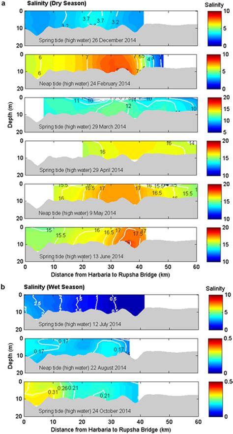 Longitudinal Salinity Sections In The Pasur River Estuary A The