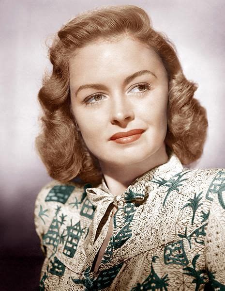 Donna Reed Movie Star Portrait Poster Donna Reed The Donna Reed