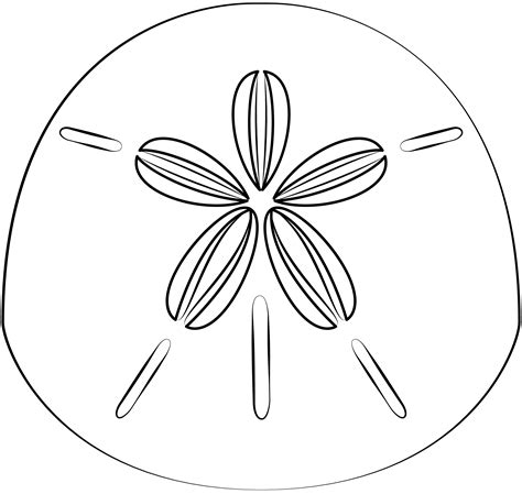 Sand Dollar Coloring Page Colouringpages