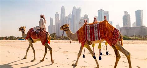 10 Beaches To Visit In The Uae This Summer Visit Uae Discover Dubai