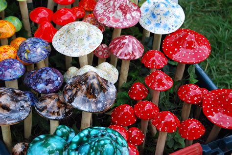 Filemagic Mushrooms Wikimedia Commons