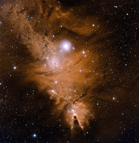 Ngc 2264 Cone Nebula Fox Fur Nebula Noirlab