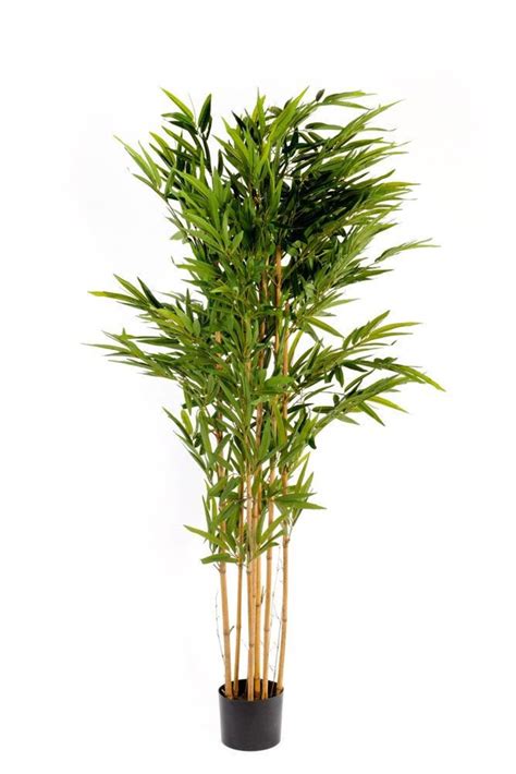 Artificial Bamboo Tree Cm Large Indoor Outdoor Use Etsy