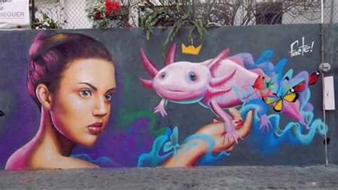 Ajolote arte urbano calles de México Arte urbano Arte Ajolote