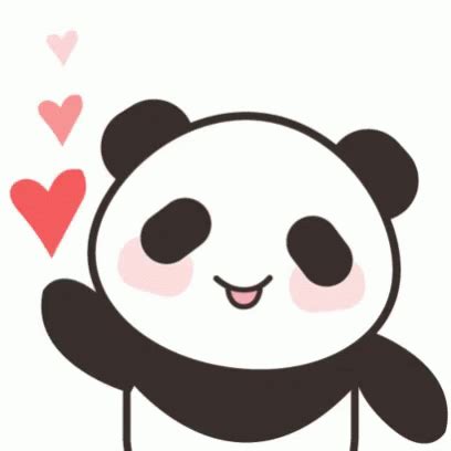 Panda Love GIF Panda Love Hearts Discover Share GIFs Panda Love