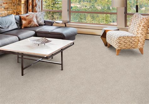 Stainmaster has introduced carpeting that fights pets stains and stands up to scrubbing away pet but there may be hope: PET FRIENDLY - Sullivans Carpet Grand Rapids MI