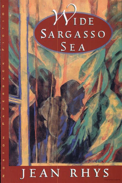 A Book Cover For Wide Sargasso Sea By Jean Rhys With An Image Of Trees In The Background