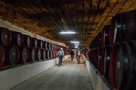 Private Bike Tour To Cricova Winery With Wine Tasting And Lunch 2024