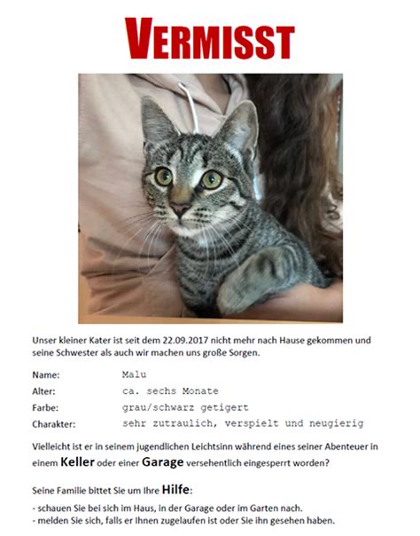 Hallo ich habe einen link, wo ihr euch ein suchplakat herrunter laden könnt. WIEDER DA, bitte nicht mehr teilen.... - Vermisste Katzen / gefundene Katzen | Facebook