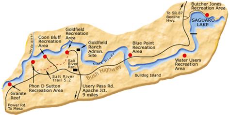 5 Tips On How To Float The Salt River In Mesa Arizona Canyon Paddle Co