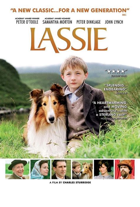 Lassie Kehrt Zurück Dvd Oder Blu Ray Leihen Videobusterde