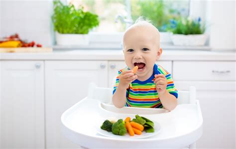 Baby Led Weaning Everything You Need To Know About Blw