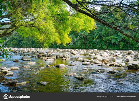 Scenic Rocky River Bed Anatoki River Lime Green New Willow — Stock