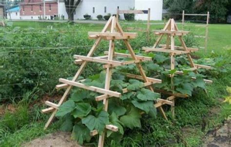 Squash Trellis So They Dont Take Over Your Garden Vertical